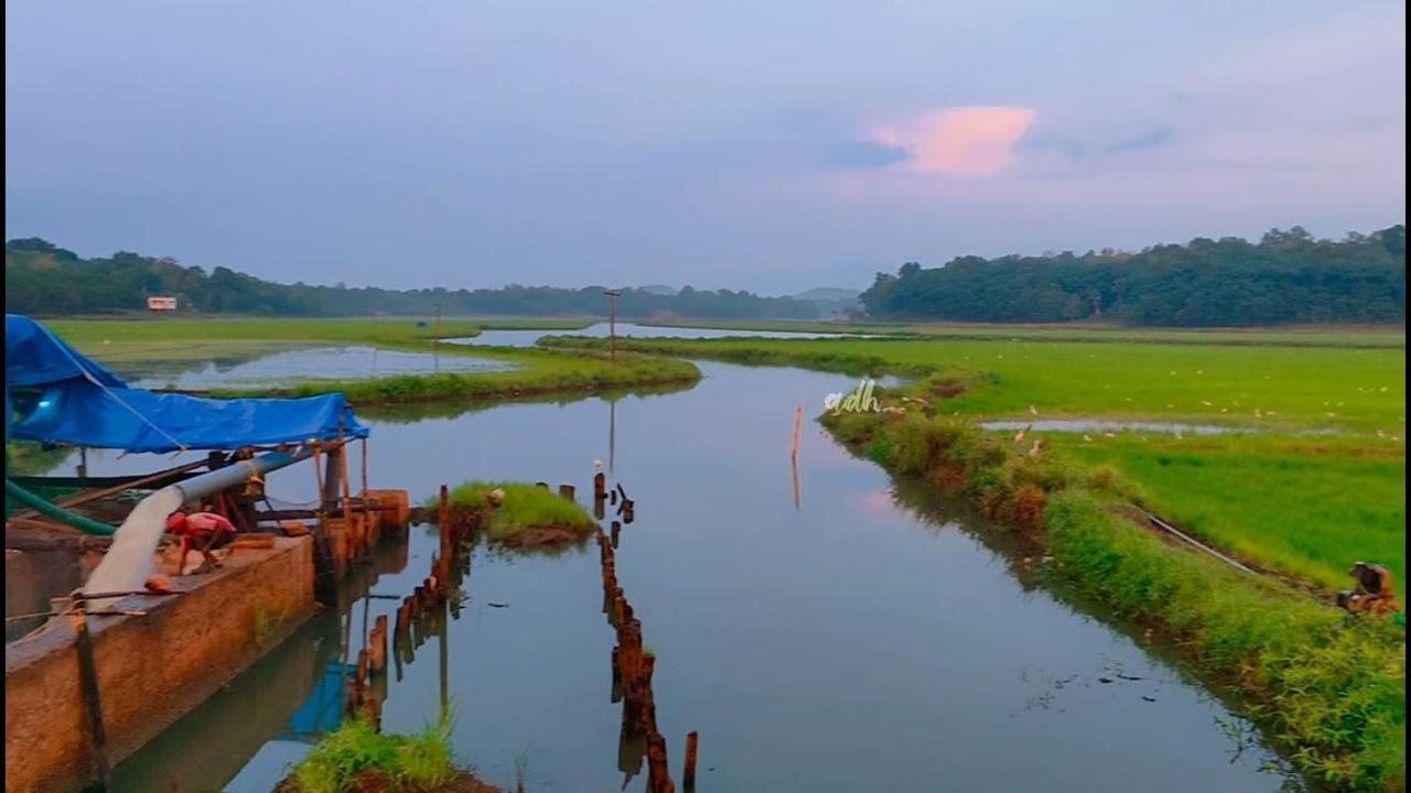 Gilead Holliday Hotel Tamarakulam Exterior foto